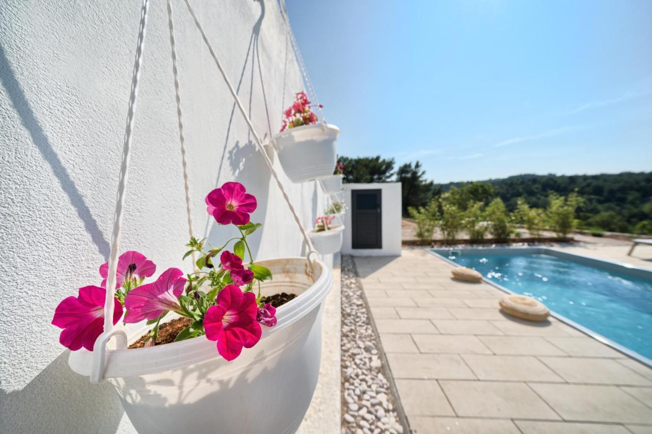 Holiday House Sunset Haven Estate Сутиван Екстериор снимка