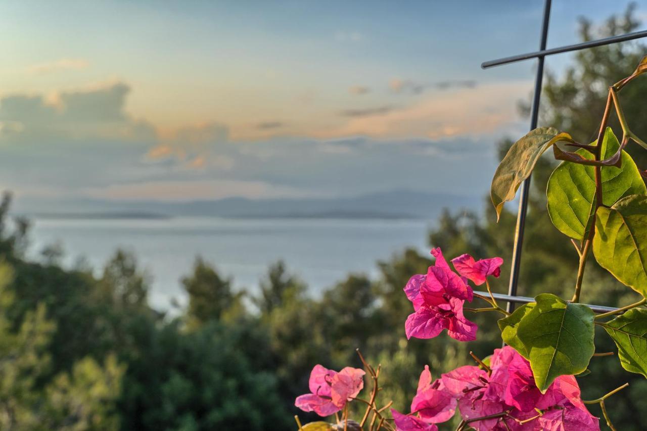 Holiday House Sunset Haven Estate Сутиван Екстериор снимка